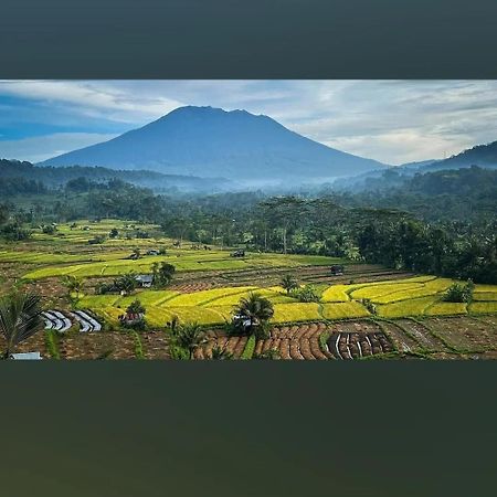 Lumbung Ayu Sari And Spa 시데멘 외부 사진