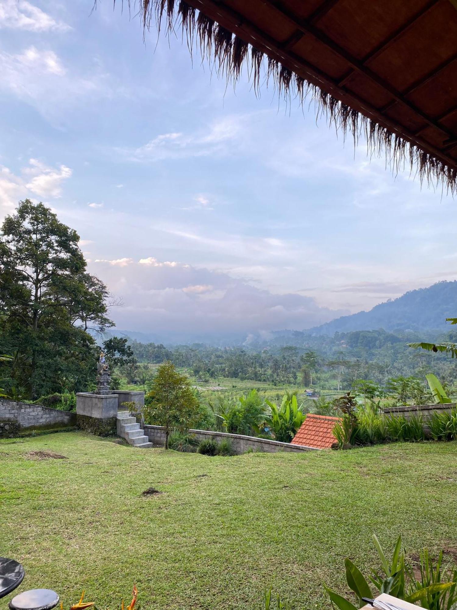 Lumbung Ayu Sari And Spa 시데멘 외부 사진